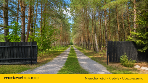 Dom w lesie 138 m działka 1,06 ha Młyniec