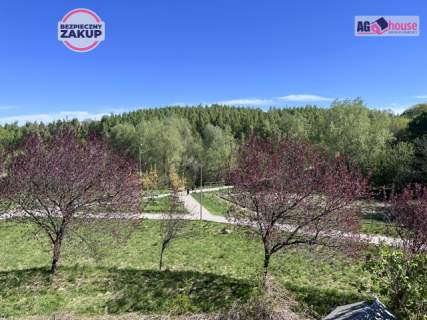 2 pokoje z widokiem na park w Gdańsku