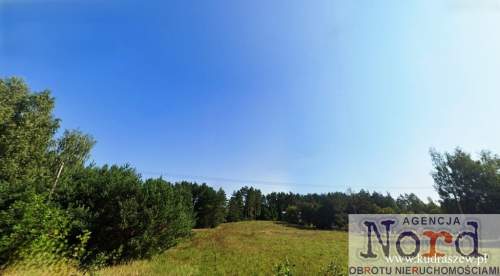 Działka rolna z możliwością zabudowy