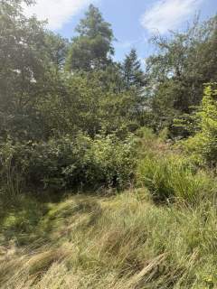 Uzbrojona działka budowlana 2300 m2 / Frywałd / bez prowizji