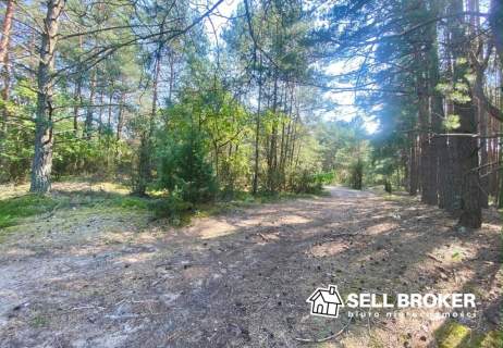 Działki rolno-budowlane 40 min od Warszawy / las