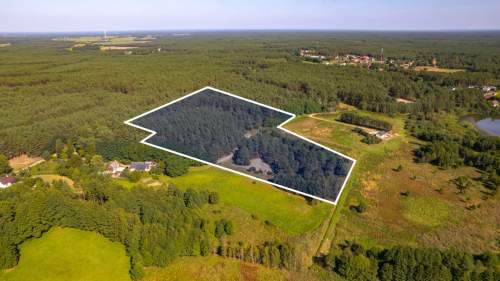 Teren 3,5ha w sercu Puszczy Noteckiej Prywatny las