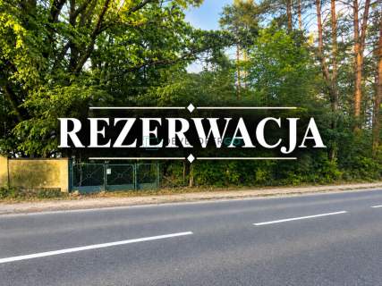 Działka budowlana z pięknymi drzewami