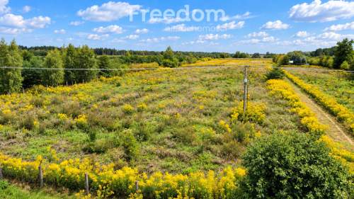 Działka 3000m2 z WZ - Piekary gm.Mszczonów