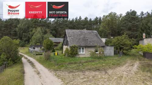 Siedlisko w Zimnych Zdrojach,blisko rzeka Wda, las