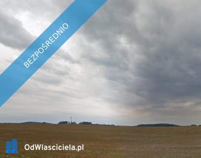 Borkowo Malechowo 1,55 ha