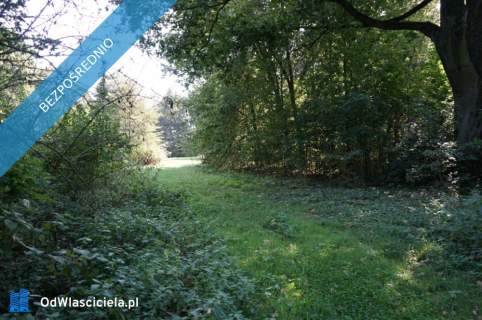  Unikatowy park pod Warszawą