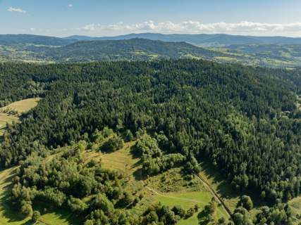 Działka leśna 20 700 m Kasina Wielka