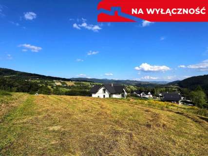 Działka z WZ 5291 m2 widok na Pieniny