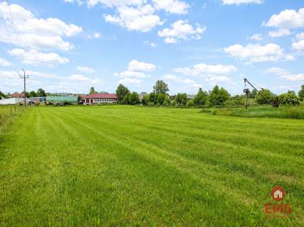Siedlisko 0,6 ha, gm. Brańsk