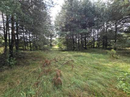 Działka budowlana na sprzedaż, 4000 m2, Ożarowice