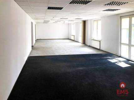 Ścisłe centrum 300 m2 parter plus piętro