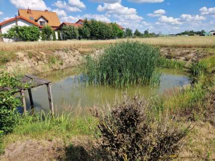 Sprzedam piękne siedlisko dom 100 m2 i budynki staw - Przedecz