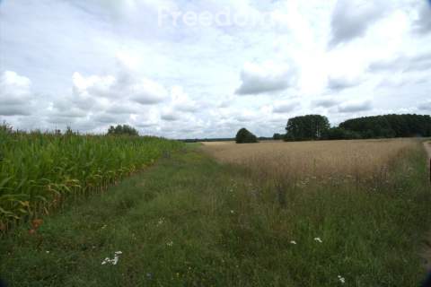 DZIAŁKA 6550 m Z WARUNKAMI ZABUDOWY WOŹNAWIEŚ