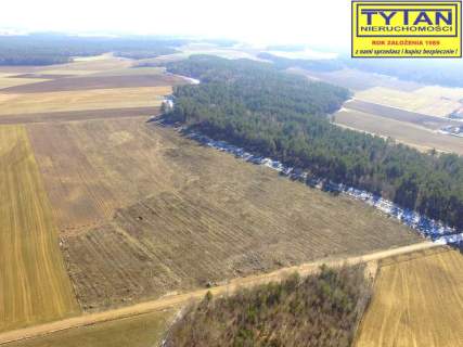 10,74 ha w jednym kawałku, dobry dojazd