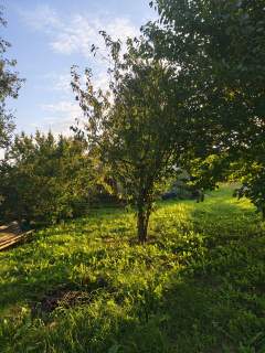 Siedlisko blisko Łodzi- działka 6 544 m 2 domy garaż rzeka