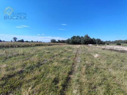 Atrakcyjna działka 1450 m z MPZP Dachowa