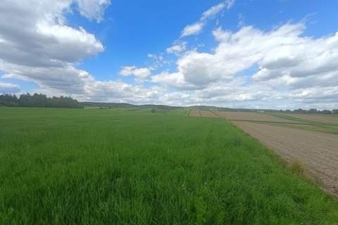 Działka rolna Cholerzyn 5400 m2