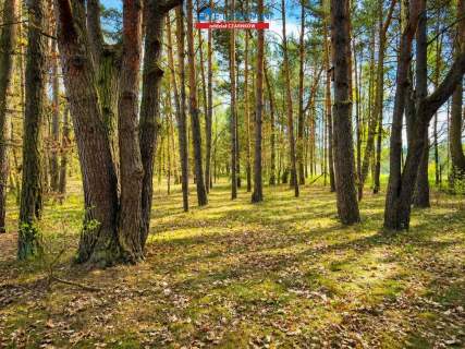 Dom na sprzedaż, 220 m2, Zielonowo