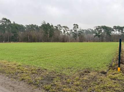 Działka 2162 m pod dom przy lesie WZ
