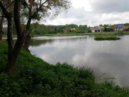 Działka o pow. 4,6 ha w Klementowicach gm. Kurów.