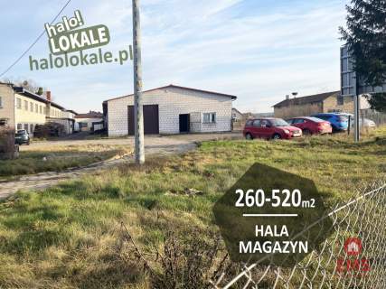 Budynek do wynajęcia 260-520 m2.