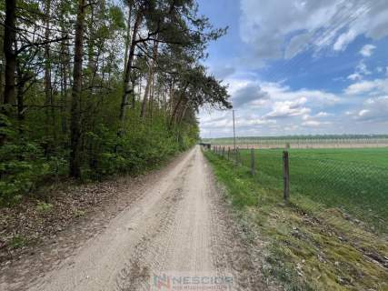 Klimatyczne siedlisko 2,2 ha z własnym lasem
