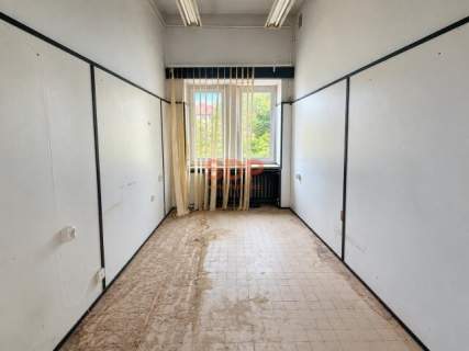 Kameralny lokal w centrum Kazimierza Wielkiego