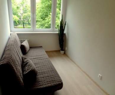 2 pokoje, komórka - Szpitalna 6, Stare Miasto