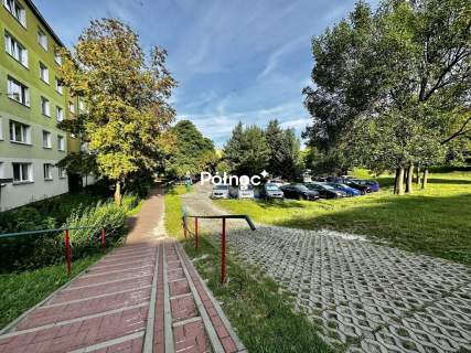 Mieszkanie do wynajęcia, 36,6 m2, Chełm