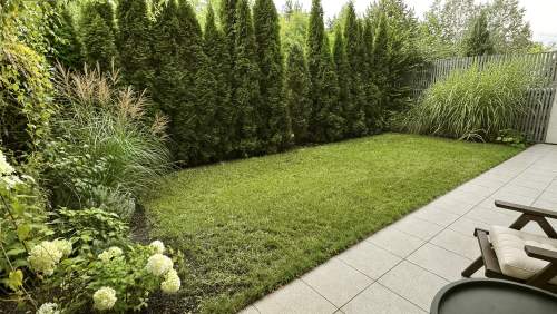 2 pokoje z dużym ogrodem 50 m2 koło Malty, garaż komórka