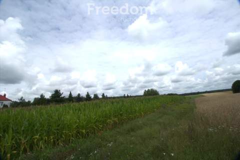 DZIAŁKA 6550 m Z WARUNKAMI ZABUDOWY WOŹNAWIEŚ