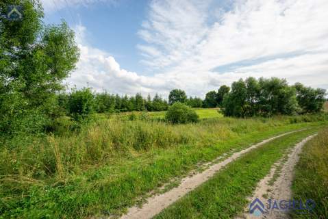 Działka rolna na sprzedaż, 4200 m2, Szczodrowo