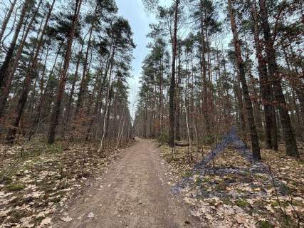 Unikatowa działka w sercu Magdalenki, ul. Grabowa