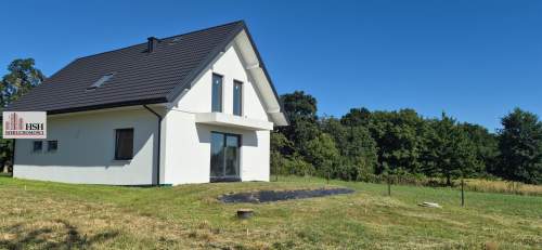Wola Zachariaszowska,wolnostojący, widok na góry