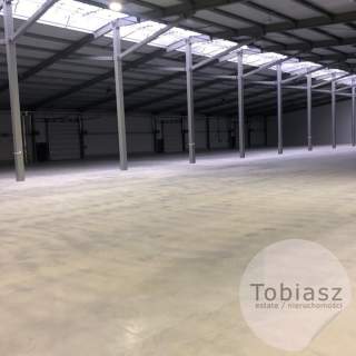 Nowy magazyn od 1000 m2 do 3500 m2 Niepołomice