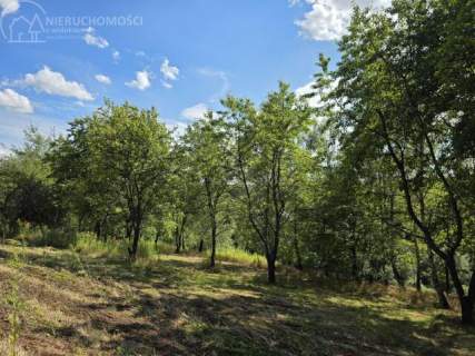 46 ARÓW W TUCHOWIE - BLISKO LASU, BLISKO MIASTA 