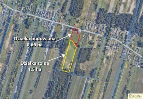 Działka w całości budowlana 0,66 ha w Żdżary pod Łukowem