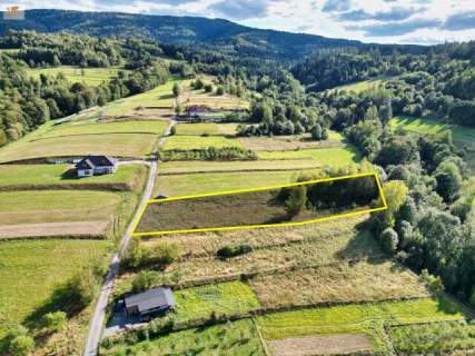 Działka z częścią budowlaną Tenczyn 3503 m2 gm. Lubień