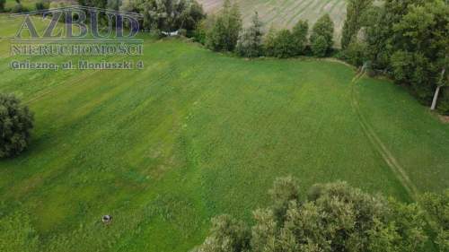 Działka inwestycyjna na sprzedaż, 12000 m2, Słupca