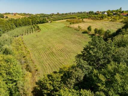 Działka rolno-leśna, 1,56 ha, Sadek, Jodłownik