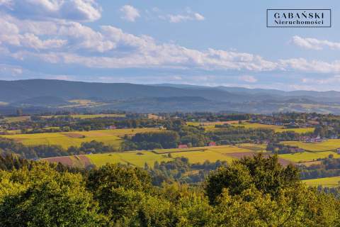 DREWNIANY DOM PO GRUNTOWNYM REMONCIE NA 1,35 HA -