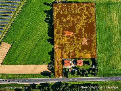 Duża działka przy drodze krajowej nr 10