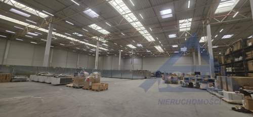 Magazyn Podnajem od 2000 do 5000 m2