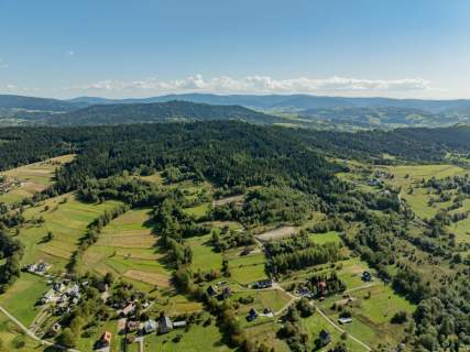 Działka leśna 20 700 m Kasina Wielka