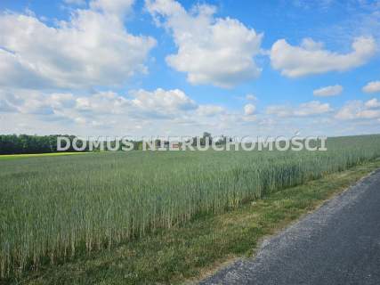 Działka w Tworzyjankach