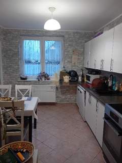 dom/ogród/taras