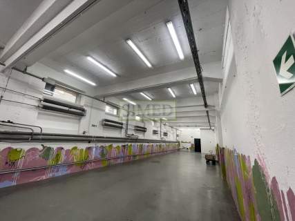 Showroom,kreatywna powierzchnia,windy wowarowe,24h