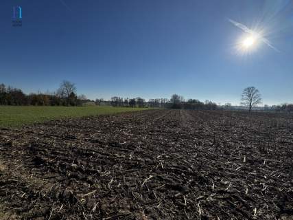 Działka pod zabudowę w gminie Rokiciny