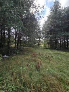 Działka budowlana na sprzedaż, 4000 m2, Ożarowice